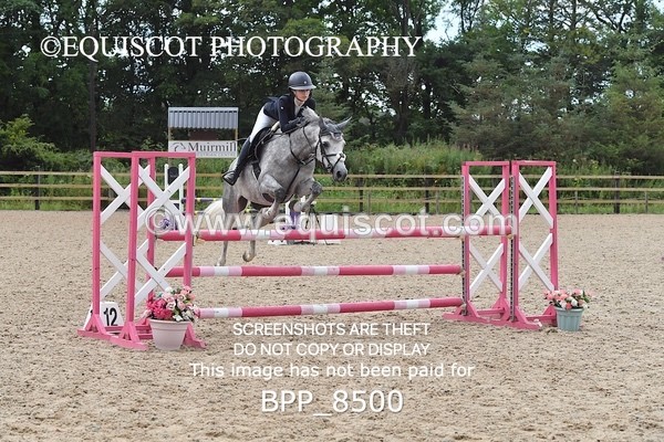 BPP_8500 - CLASS 17 SUN Pony Newcomers/ 1m Open