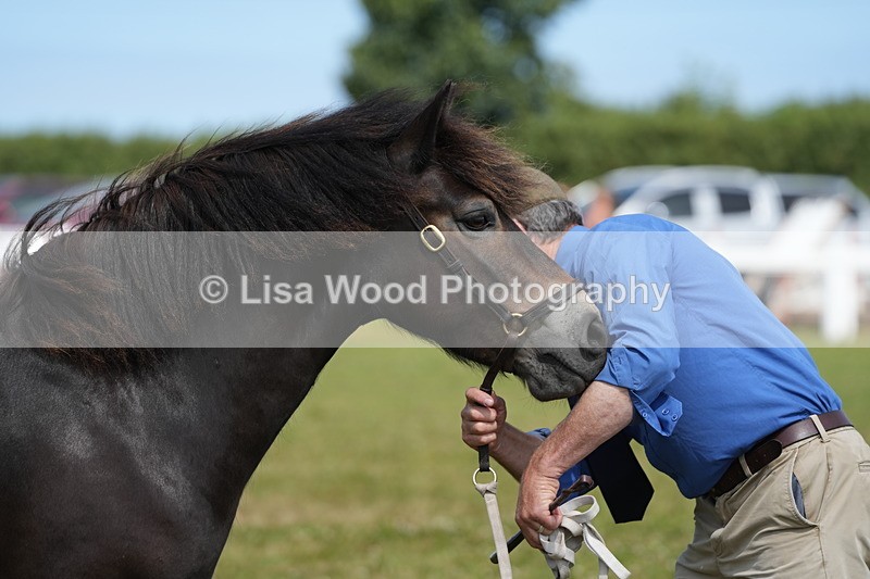 DSC05576 - Class 50: NPS M&M 4 years and over Small Breeds