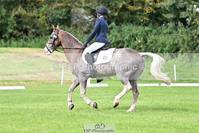 230826-111100-16891 - Sections A & B 10 to End