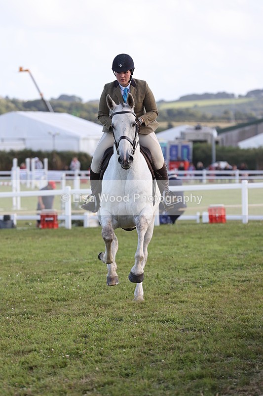 JPP_3545 - Class 22: Working Hunter 90cm