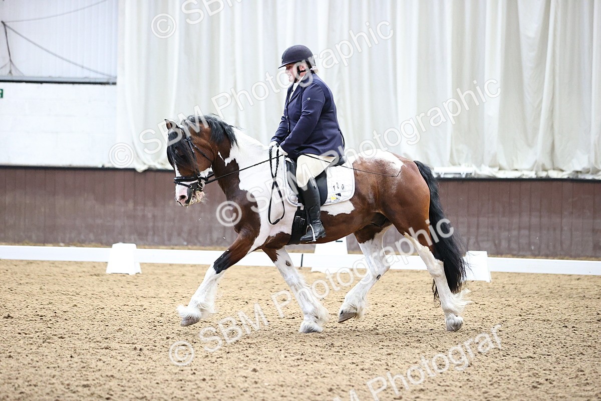 SBM_000476 - Novice 4 Warm Up