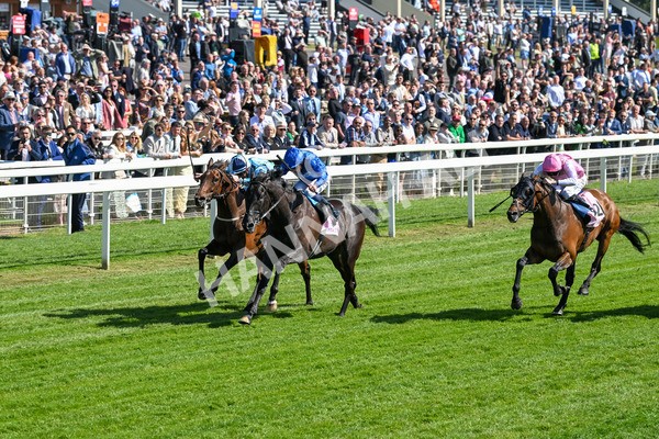 160525-Race 4-Rebels Romance-6697 - Race 4 3.45pm Boodles Yorkshire Cup Stakes
