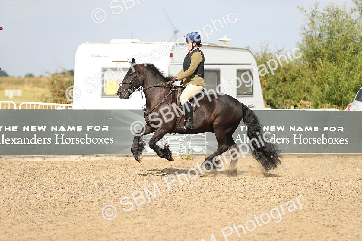 SBM_06861 - Class 49a Style & Performance 80cm (15-19)