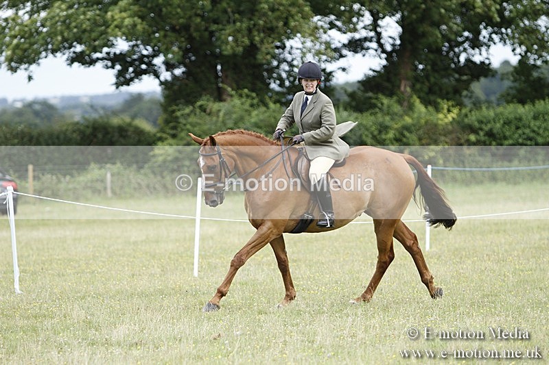 BVR160717-1796 - Ring 3 BVRC Show 16/07/17