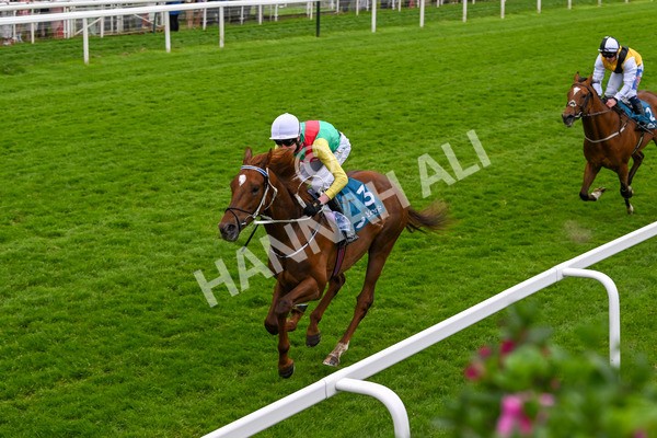 250524-Race 6-Primo Lara-4239 - Race 6 4.30pm Royal Yorkshire Regiment Handicap