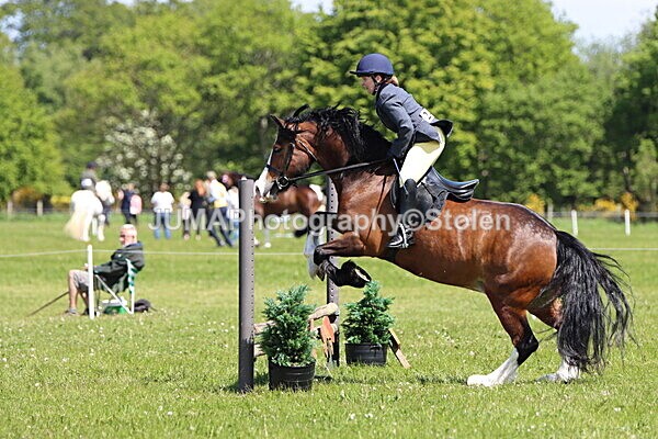 IMG_3484 - Working Hunter