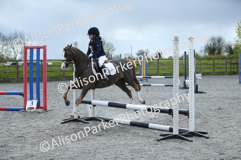 20260412-1744 - Show Jumping