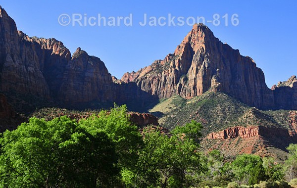 Image - #4 - Zion National Pk. -  2012