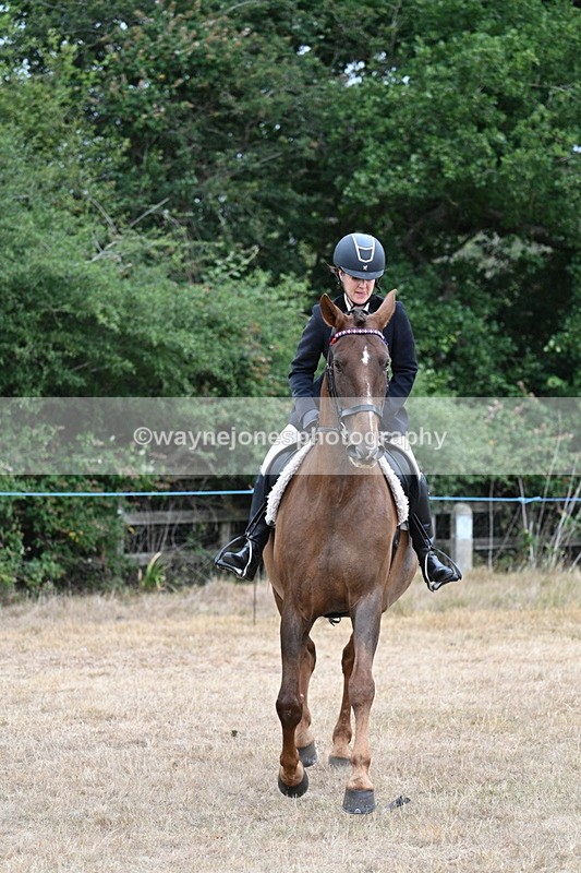 WJ7_0837 - Class 7 Riding Club Show Horse