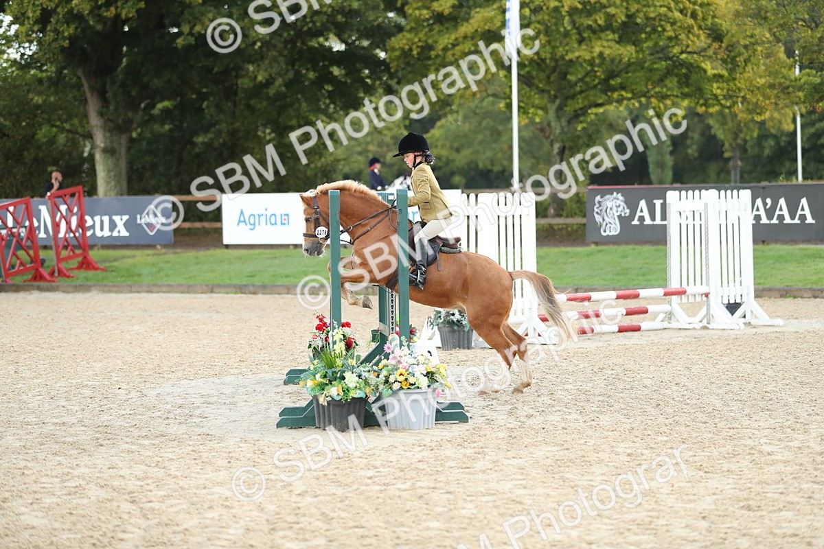 SBM_34147 - J60 Clear Round 50cm