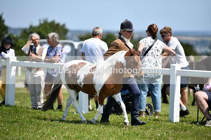 DSC_7595 - Class 64: Coloured Pony 4yrs & over