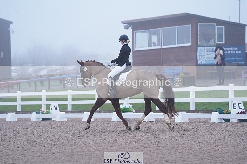 250215-094410-02692 - 142-Daisy.Hedges-Felicia.v