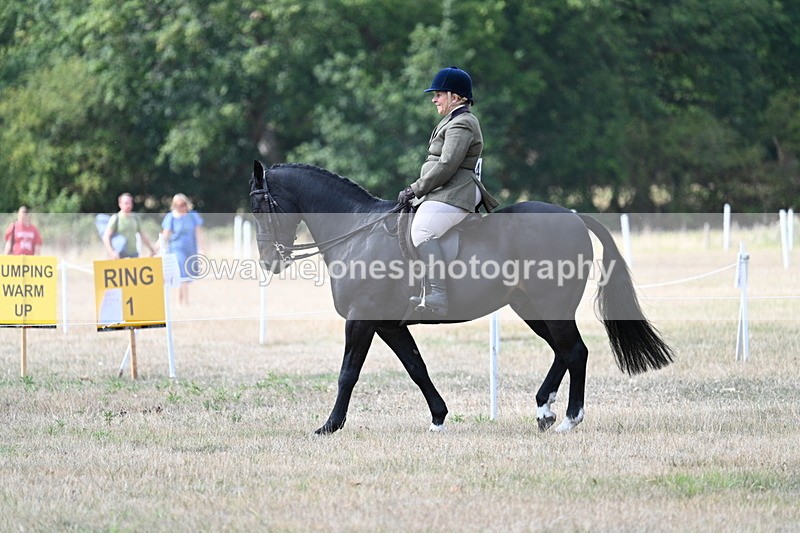 WJ7_5770 - Class 13 Ridden Veterans