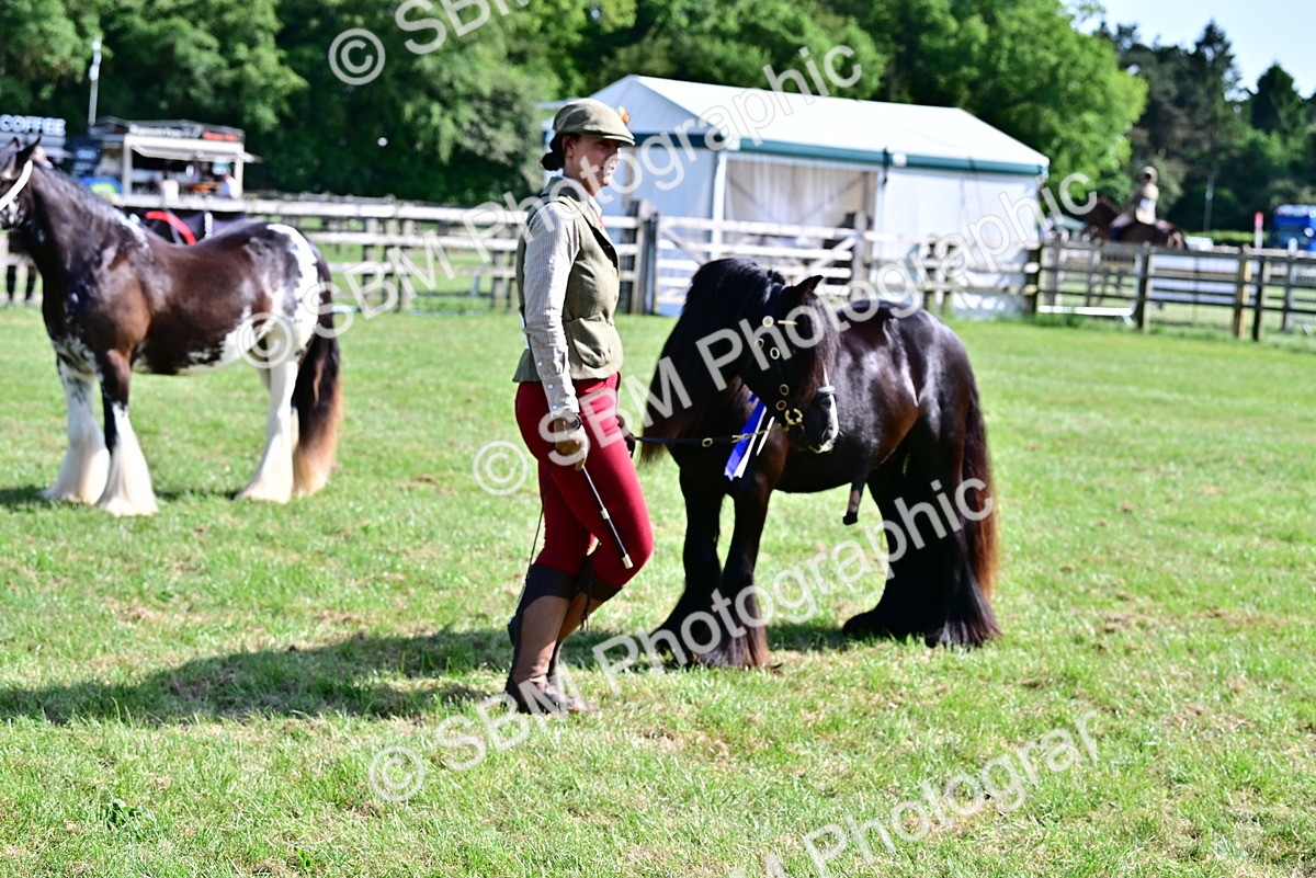 SBM_09511 - Class 63-65 - Traditional Gypsy Cobs In Hand & Ridden