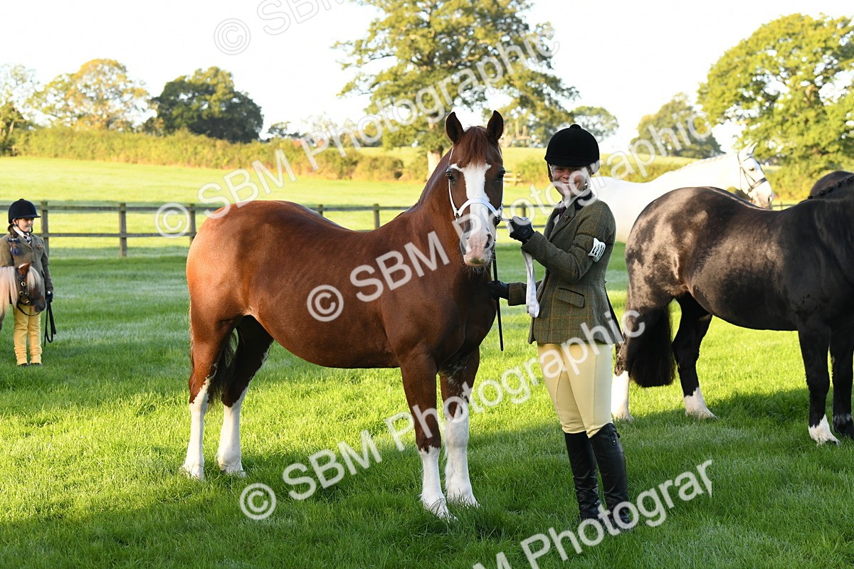 SBM_32706 - S15 - Condition & Turnout In Hand