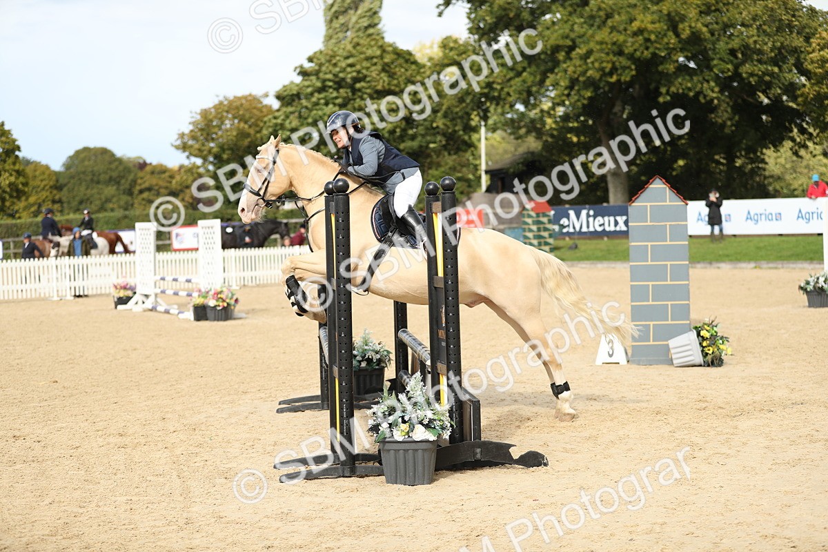 SBM_09900 - J36 - Veteran Rider 70cm
