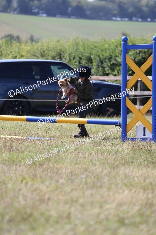20260906-1646 - Class 10 - Horse & Hound