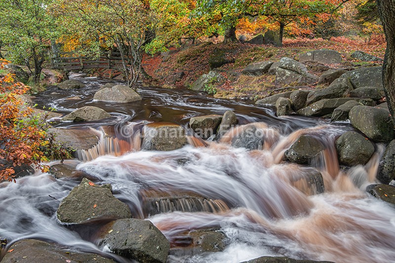 Padley Gorge - The Peak District