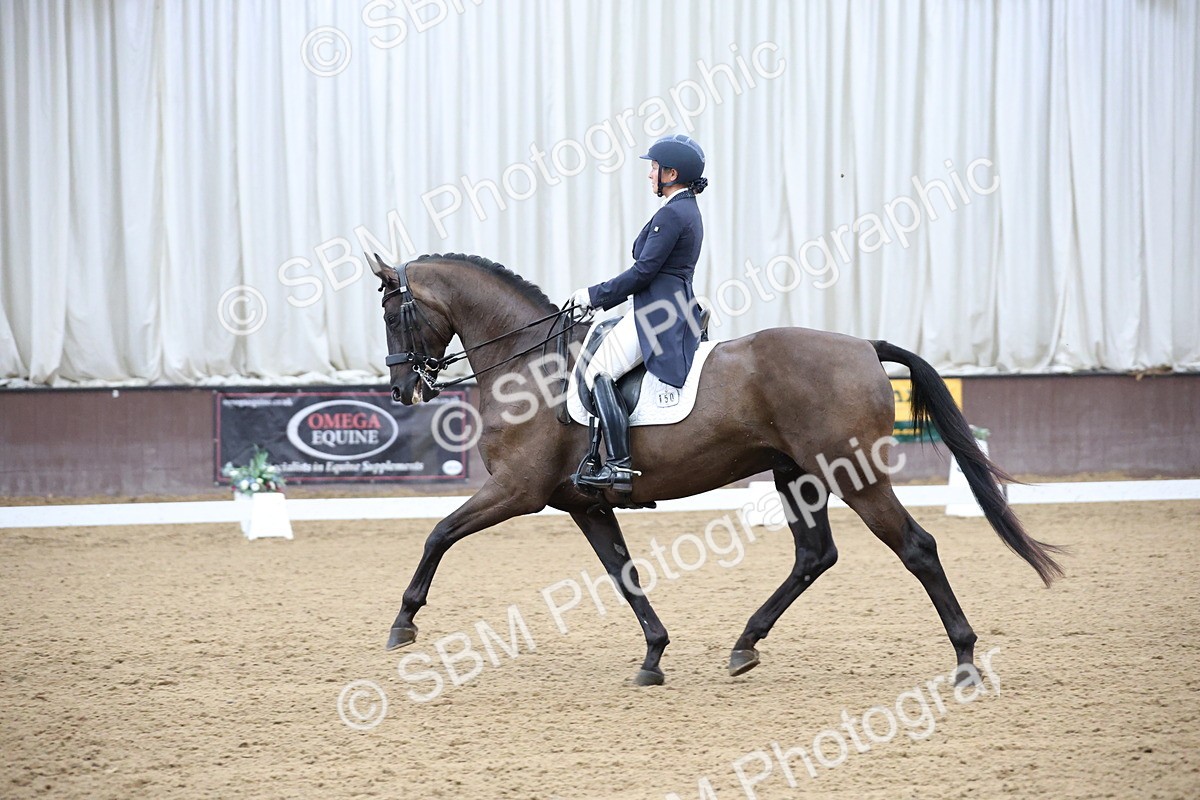SBM_004727 - Class 9 - FEI Inter 1 Gold - 16.59-17.47