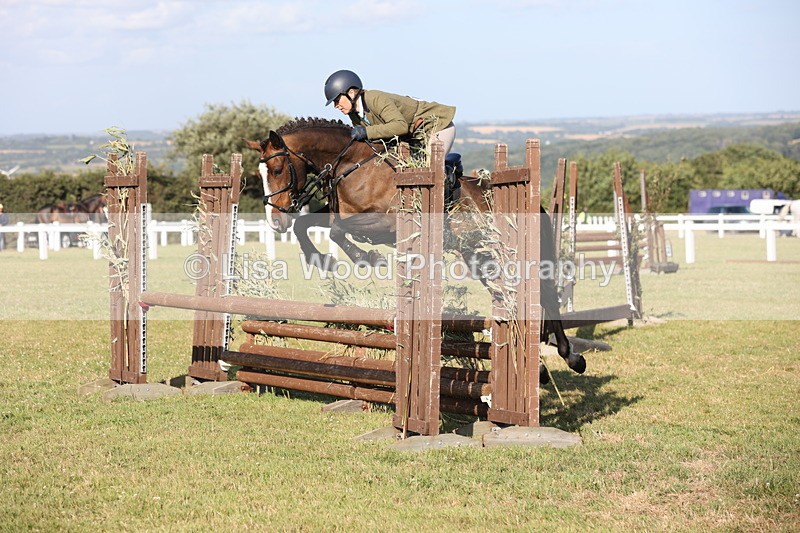 JPP_3137 - Class 21: Working Hunter 80cm