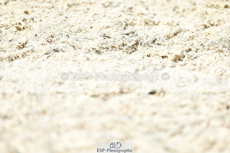 230623-130408-02317 - Cls 4 Novice 37Q 12.45 to End