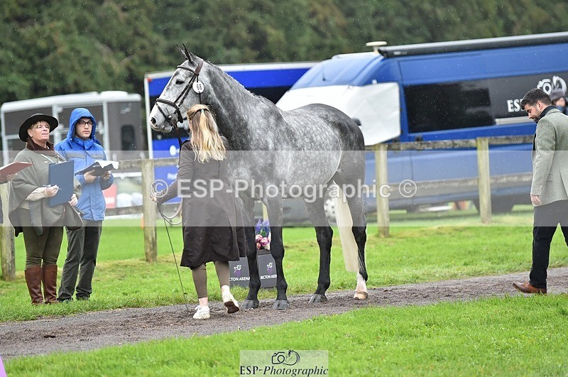 231018-124844-00537 - 068-DASSETT.PREMIER-Kate.Rocher-Smith-TrotUp