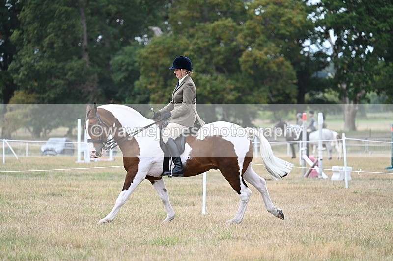 WJ7_5065 - Class 12 Ridden Cob