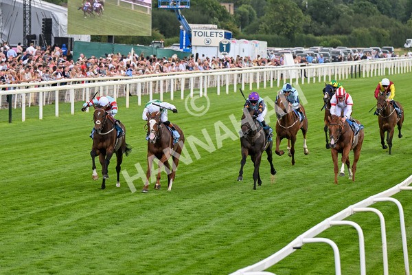 260725-Race 5-Beylerbeyi-0698 - Race 5 3.50pm Sky Bet, For The Fans Handicap