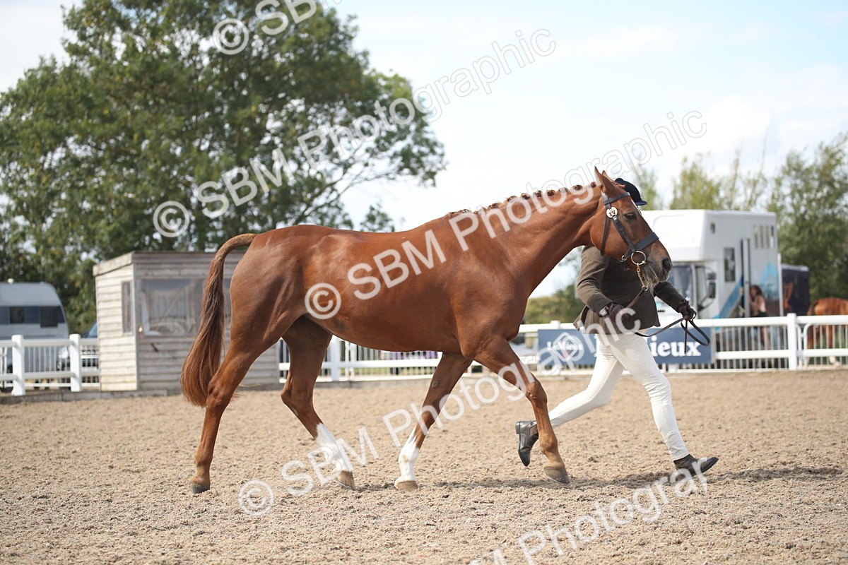 SBM_23089 - Class 606 - 2026 - Area - IH Pre Vet