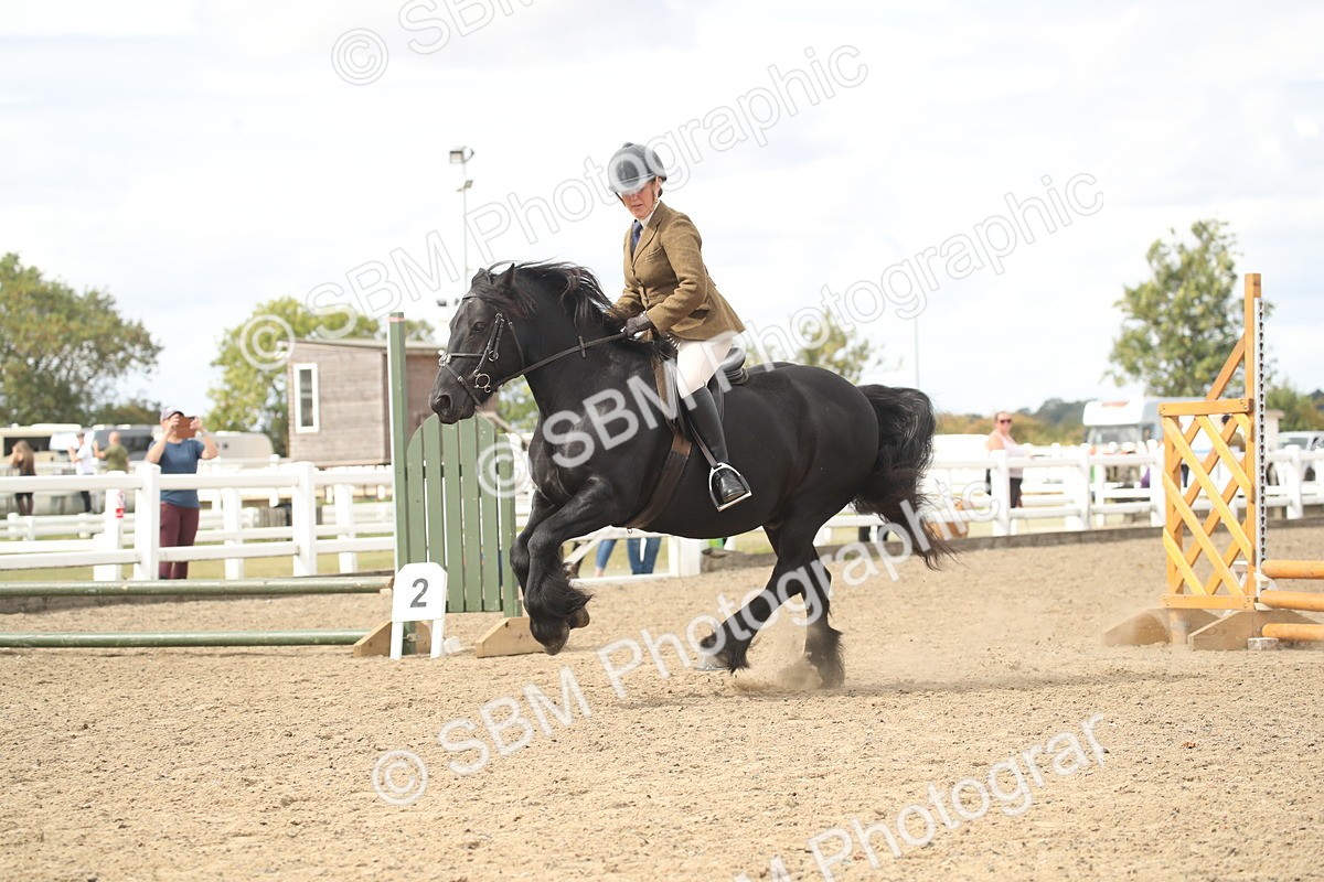 SBM_14540 - Class 505a - M&M Working Veteran - 50cm (15-19)