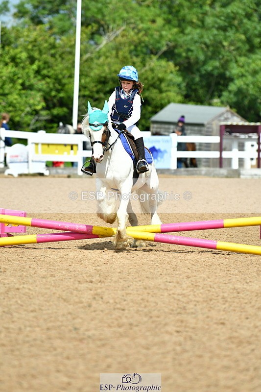 230804A-112305-02238 - Showjumping Competition