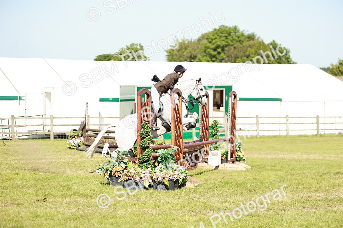 SBM_19170 - Class 115-116 - LIHS BSHA Rising Star Working Hunter & Show Horse