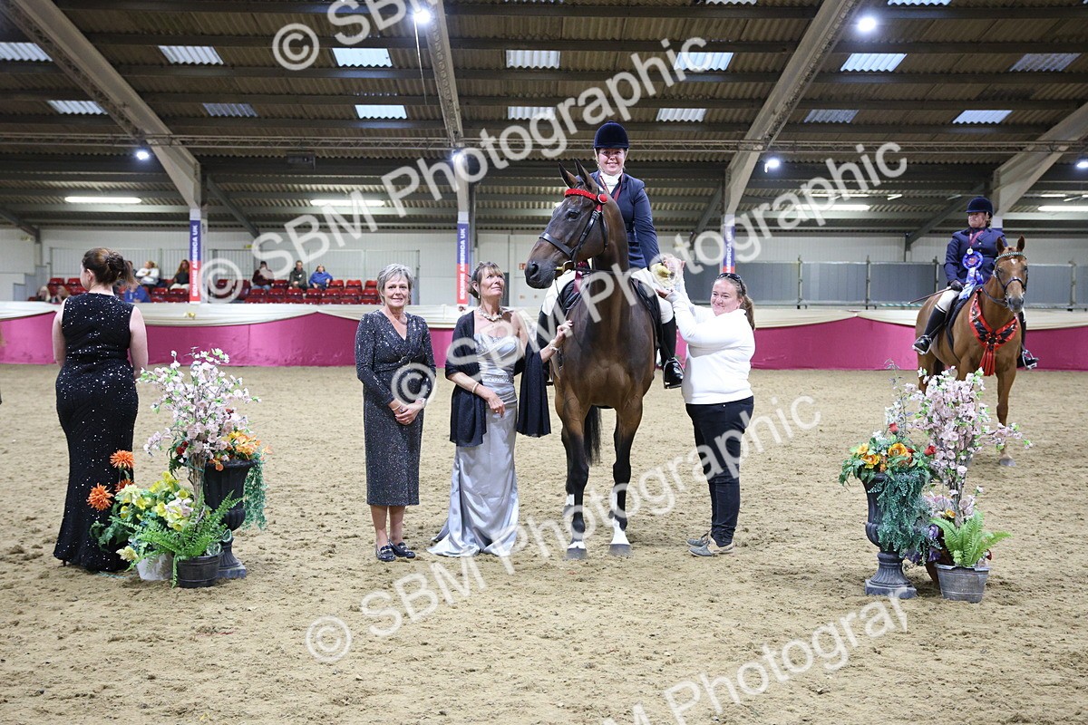 5K7A1519 - Class 108Ridden Retired Racehorse- Final Judging