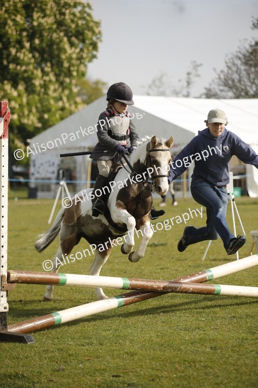 20260426-0967 - Class 1 - Mini Jumping - Lead rein or Assisted