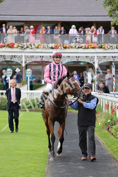 yr19082021r7-29 - Race 7 5.20pm British Stallion Studs EBF Fillies' Stakes