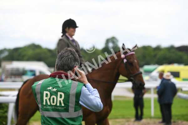 yr22052022r8e-39 - ROR - Parade Ring York