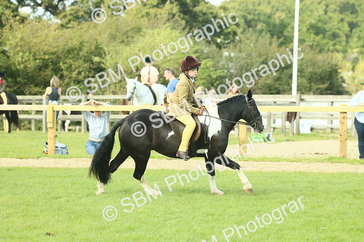 SBM_68888 - S58 - Mini Show Cob Ridden