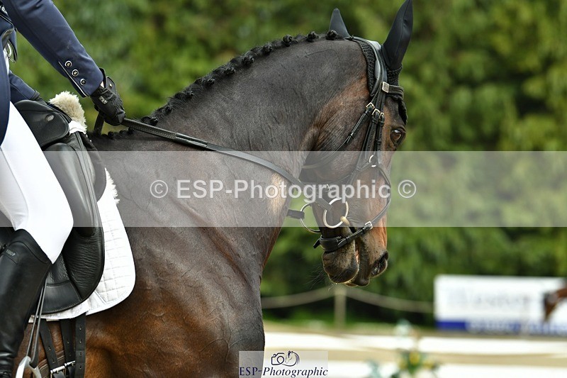 230525-151342-04576 - 425-ABC_ARCTIC_DAME-Jess_Falle-DR