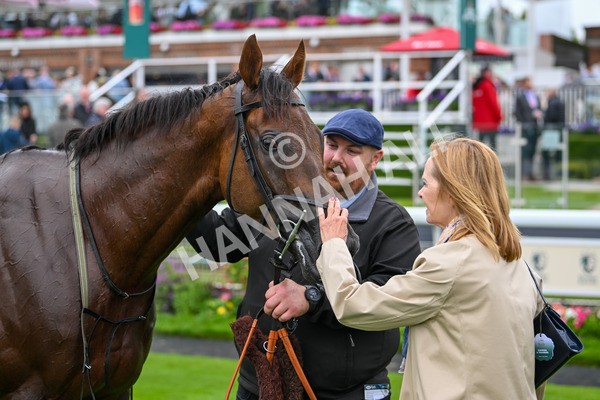 130724-Race 6-Zimmerman-7791 - Race 6 4.50pm John Smith's Stayers' Handicap