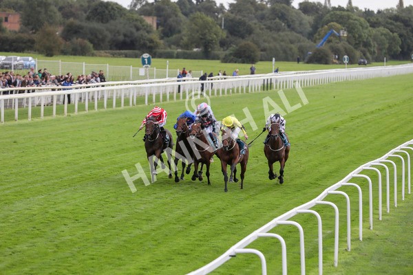 230923-Race 3-Politico-5278 - Race 3 3.10pm Happy 60th Birthday Angela Clark Nursery Handicap