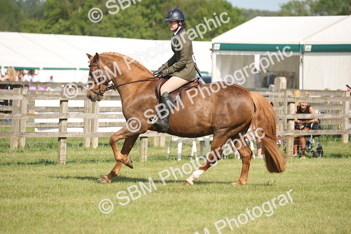 SBM_09782 - Class 33-38 - SSADL RIHS Qualifiers