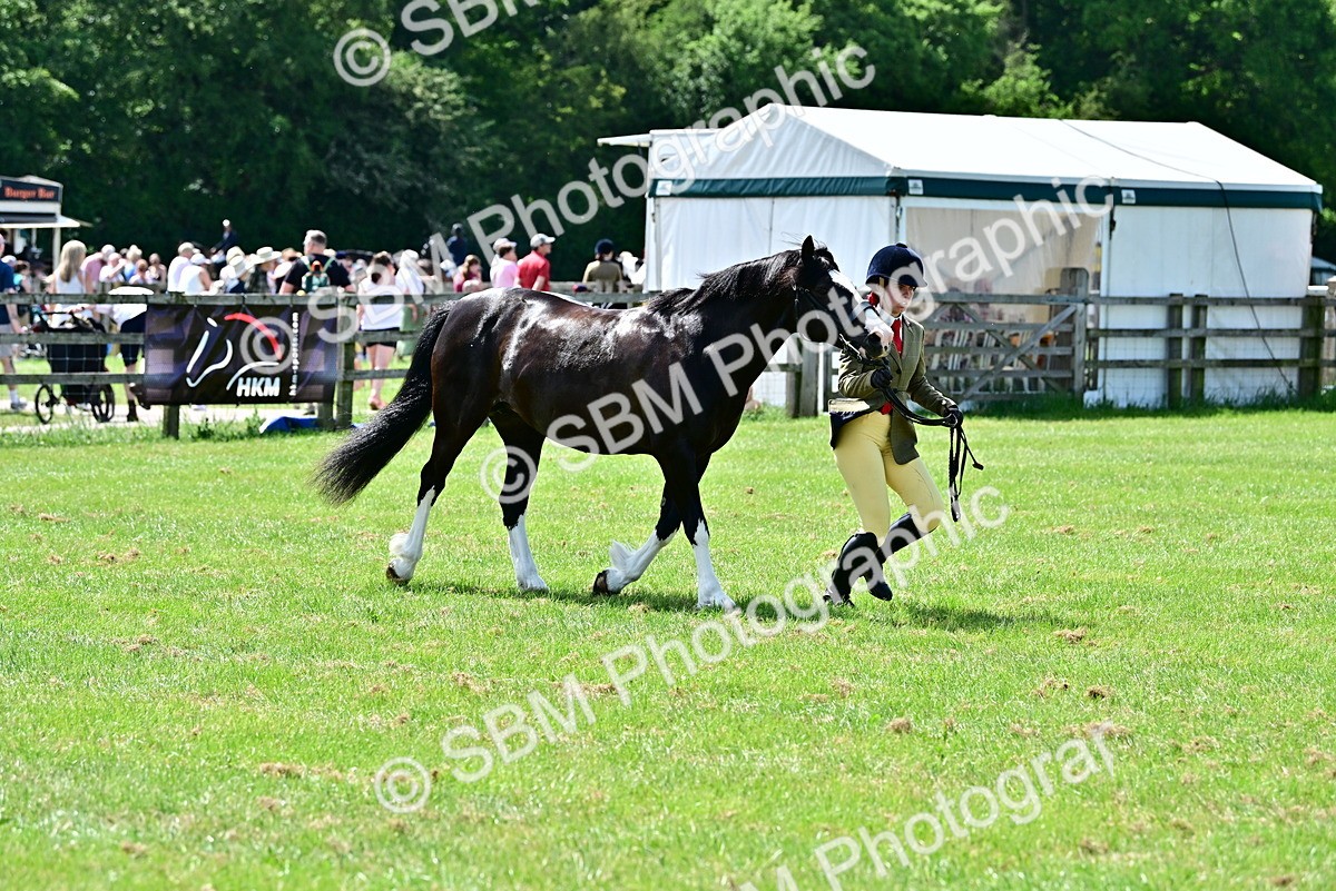 SBM_03902 - Class 58 - TSR  Ridden Veteran Amateur of the year