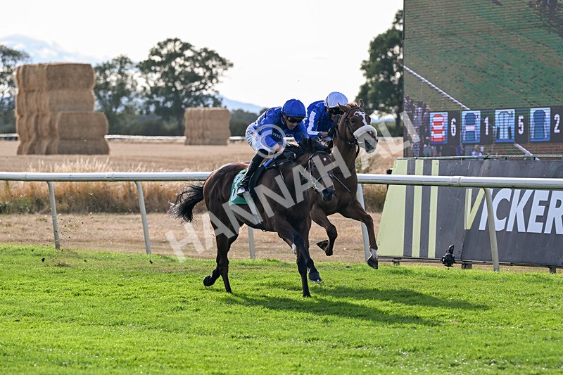 140826-Race 2-National Honour-0931 - Race 2 18.08pm JW 4x4 Northallerton Irish EBF Novice Stakes