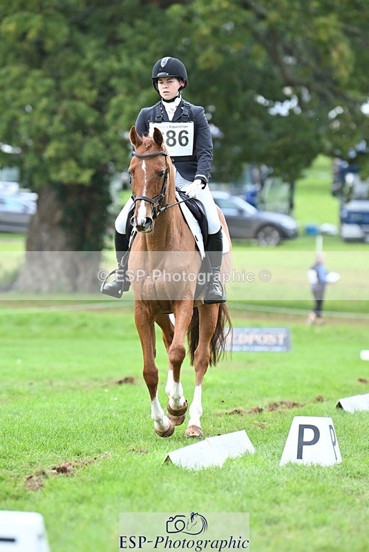 231020-153053-11504 - 686-MOORLAND.MAGIC-Charlotte.Chard-DR