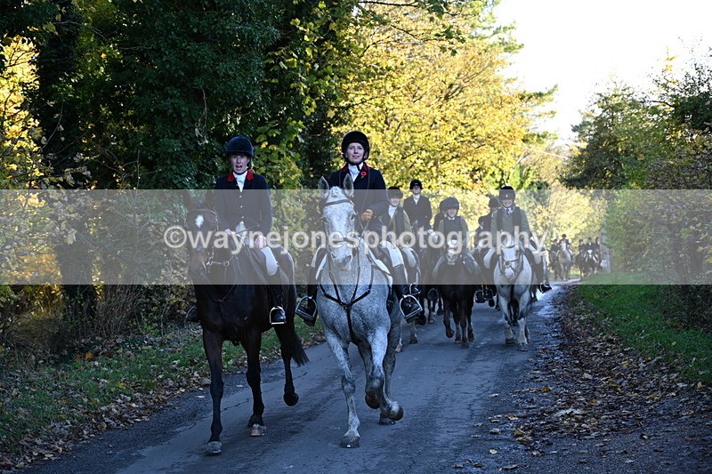 WJ6_9681 - Walk Home