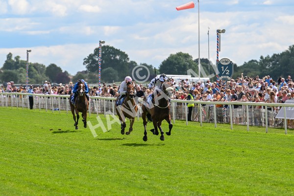 140625-Race 3-Al Qareem-2457 - Race 3 3.00pm Sky Bet Race To The Ebor Grand Cup Stakes