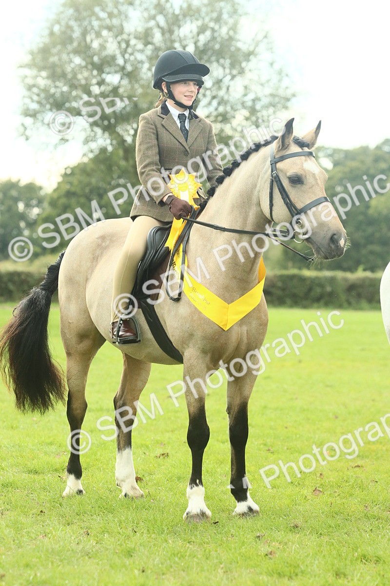SBM_74128 - S 61 - Show Pony & Show Hunter Pony Ridden