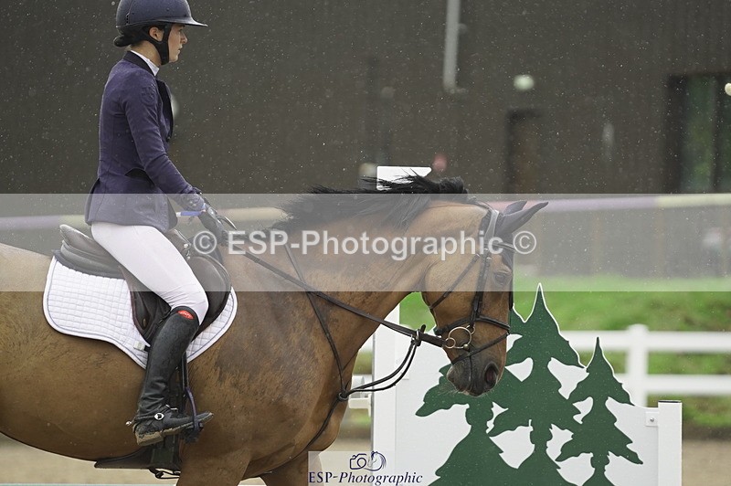 230722A-132012-09332 - Cls 15, 1 Star Bronze 1.15m