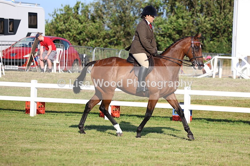 3E7A4912 - Class 1: Rising Star Small Hack/Riding Horses