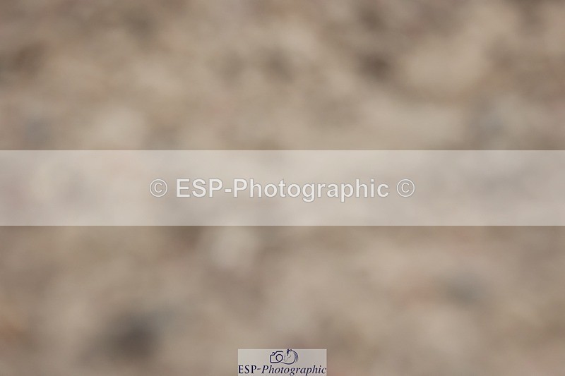 250621-083453-05853 - Cls 25 - Freestyle Preliminary